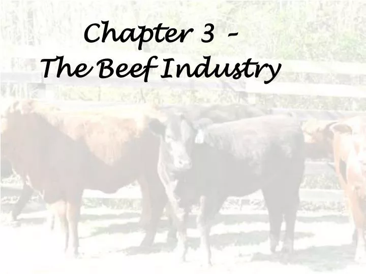 chapter 3 the beef industry