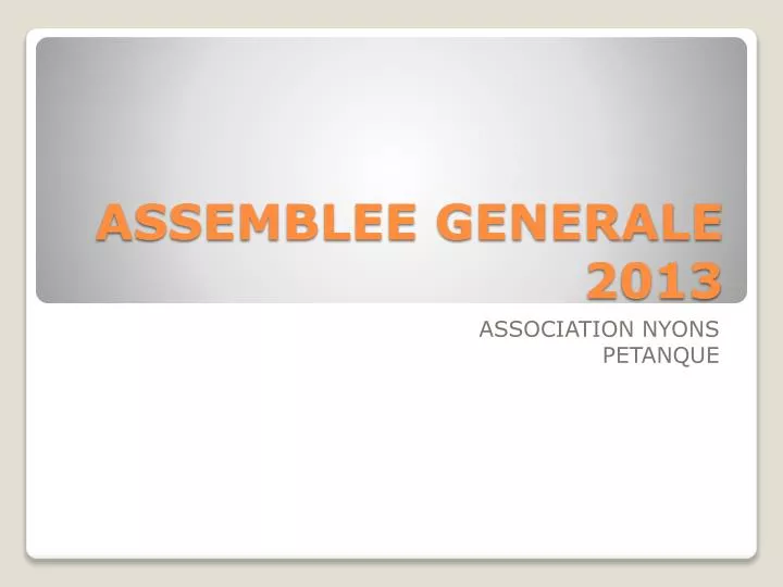 assemblee generale 2013