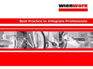 best practice in integrare profesionala