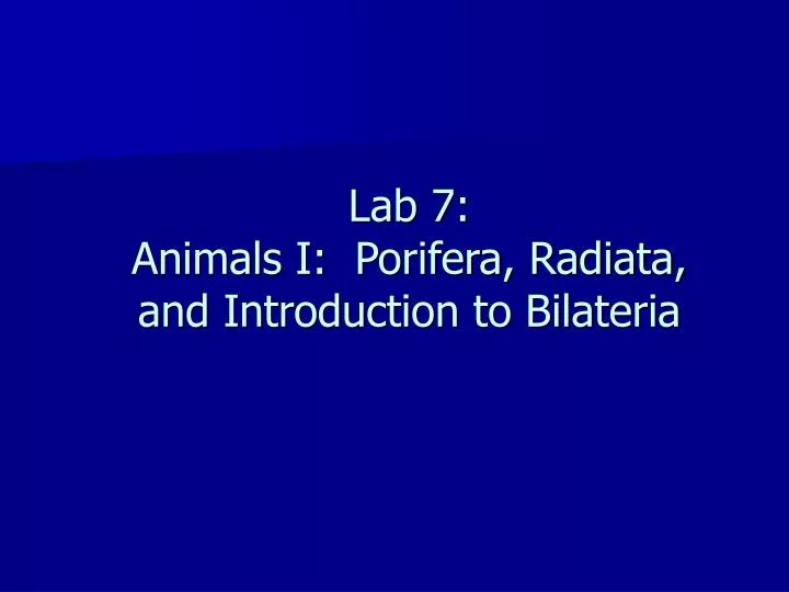 lab 7 animals i porifera radiata and introduction to bilateria