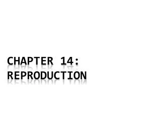 chapter 14: Reproduction