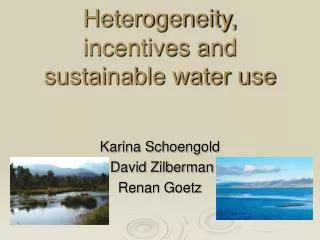 Heterogeneity, incentives and sustainable water use