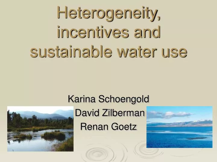 heterogeneity incentives and sustainable water use