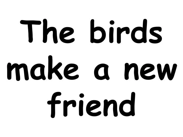 the birds make a new friend