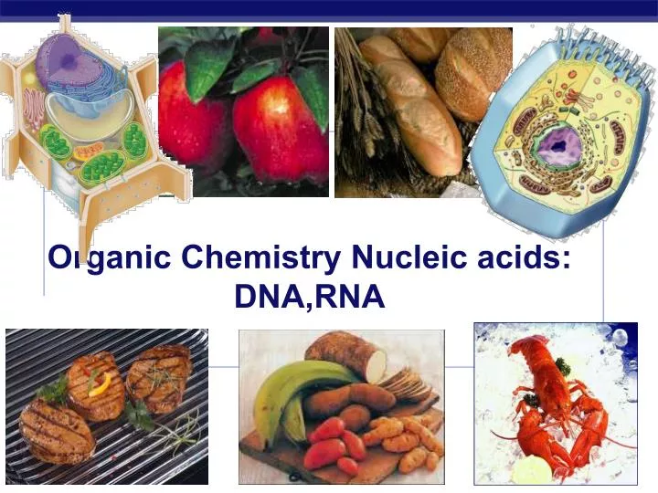 organic chemistry nucleic acids dna rna