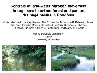 Controls of land-water nitrogen movement through small lowland forest and pasture