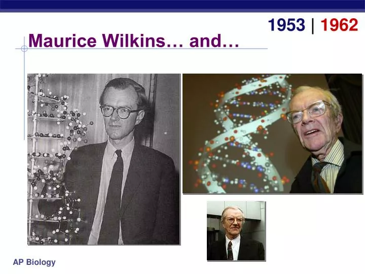 maurice wilkins and