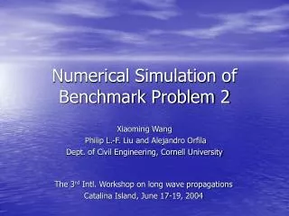 Numerical Simulation of Benchmark Problem 2