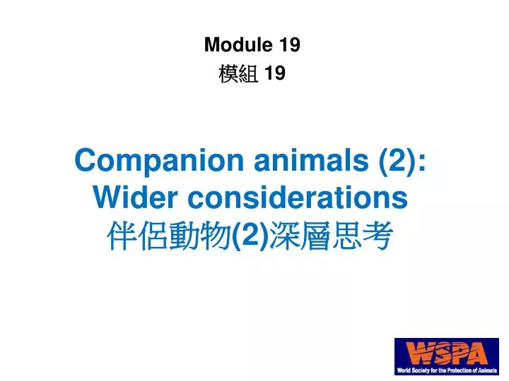 companion animals 2 wider considerations 2
