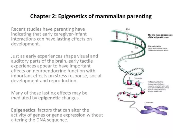 chapter 2 epigenetics of mammalian parenting