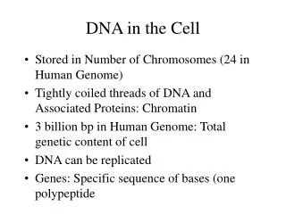 DNA in the Cell