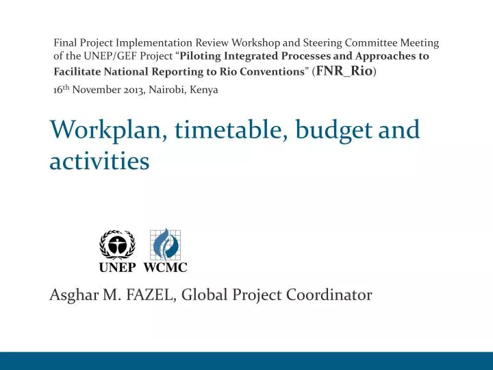workplan timetable budget and activities