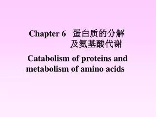 chapter 6