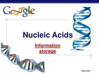 nucleic acids