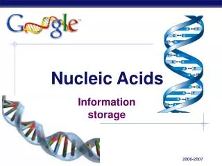 nucleic acids