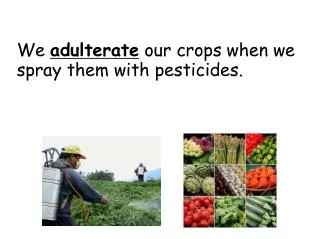 We adulterate our crops when we spray them with pesticides.