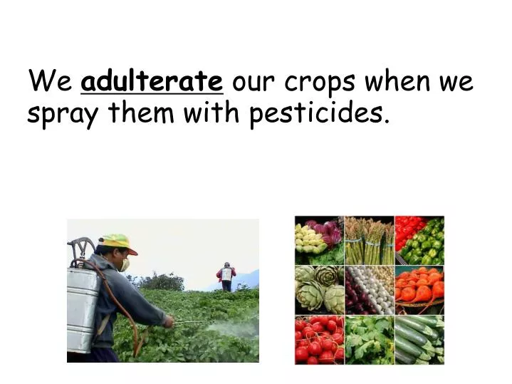 we adulterate our crops when we spray them with pesticides