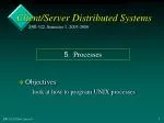 Understanding UNIX Processes: Programming and Management Techniques - slide 1