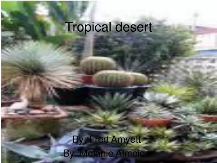 tropical desert
