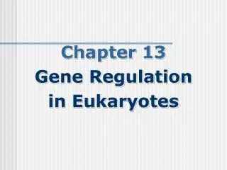Chapter 13 Gene Regulation in Eukaryotes