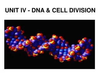 UNIT IV - DNA &amp; CELL DIVISION