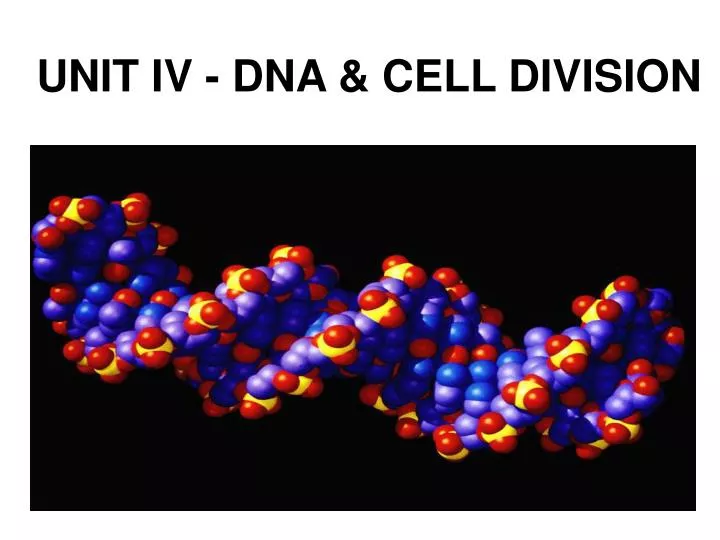 unit iv dna cell division