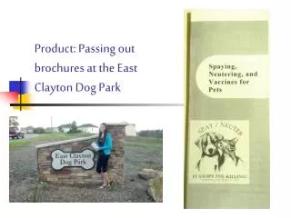 Product: Passing out brochures at the East Clayton Dog Park