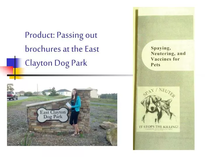 product passing out brochures at the east clayton dog park