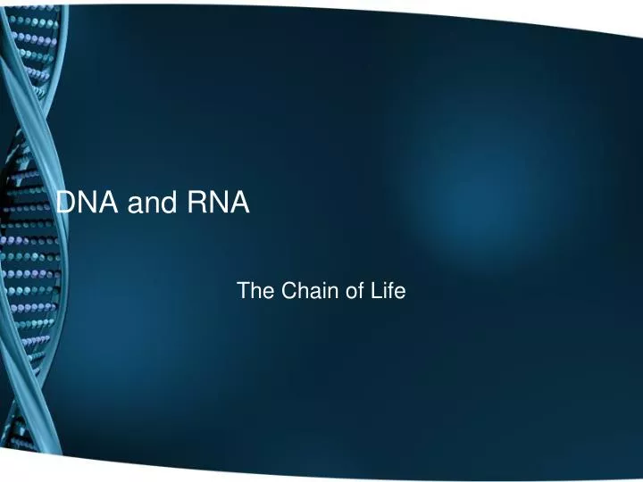 dna and rna