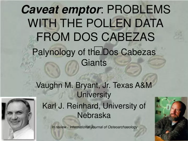 caveat emptor problems with the pollen data from dos cabezas