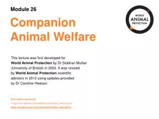 Companion Animal Welfare