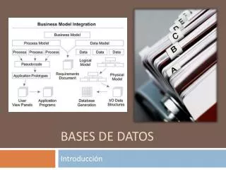 bases de datos