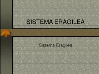 sistema eragilea