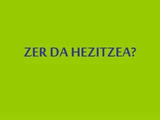 zer da hezitzea