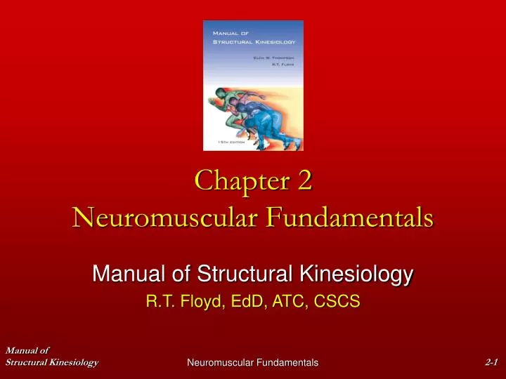 chapter 2 neuromuscular fundamentals
