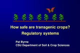 How safe are transgenic crops? Regulatory systems