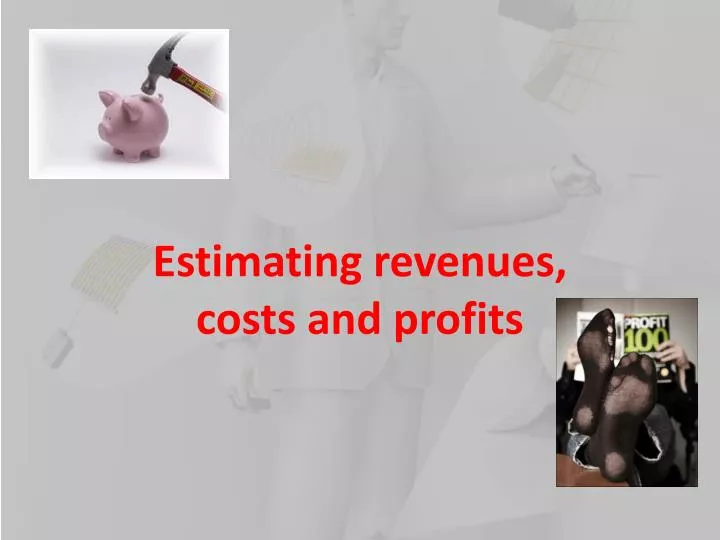 estimating revenues costs and profits