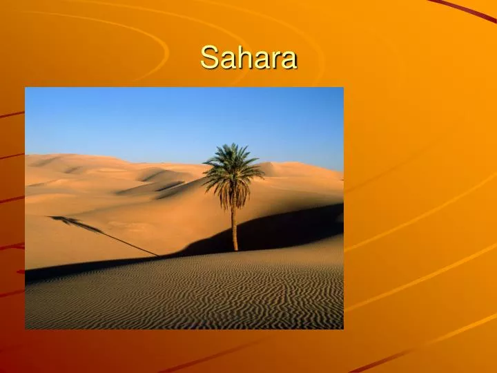 sahara