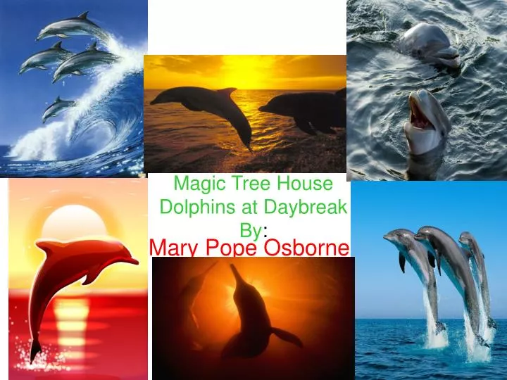 magic tree house dolphins at daybreak by