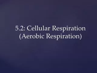 5.2: Cellular Respiration (Aerobic Respiration)