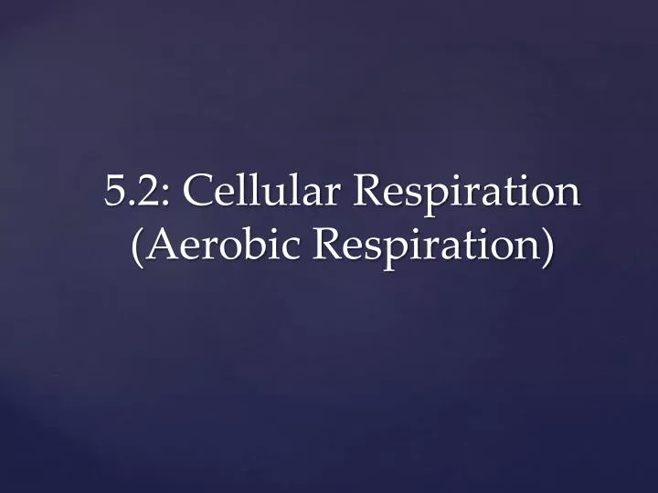 5 2 cellular respiration aerobic respiration