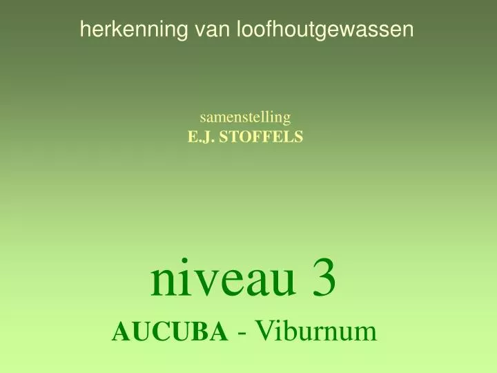 niveau 3 aucuba viburnum