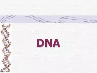 DNA