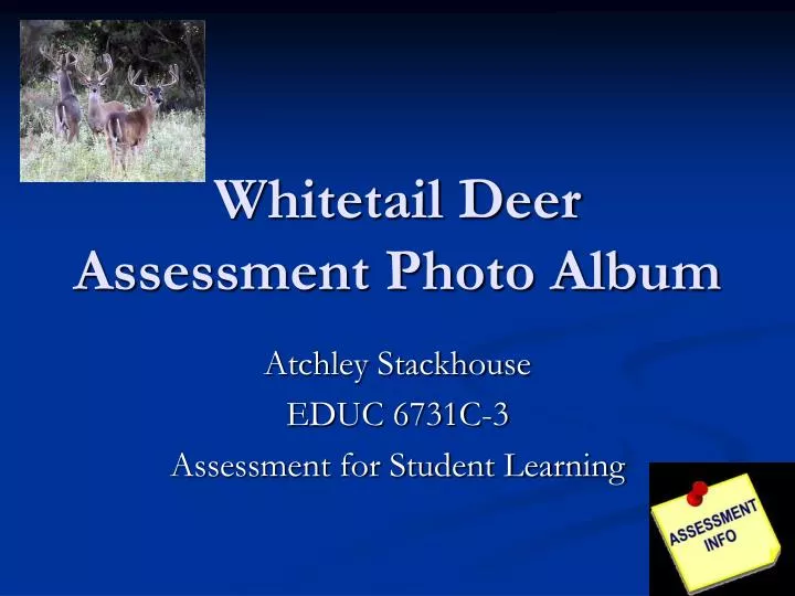 whitetail deer assessment photo album