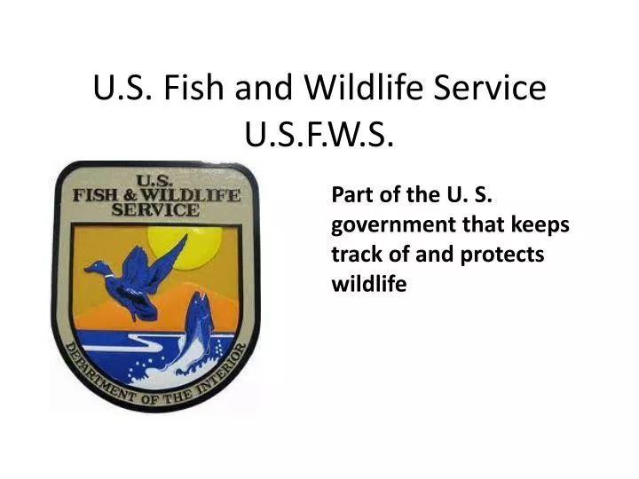 u s fish and wildlife service u s f w s