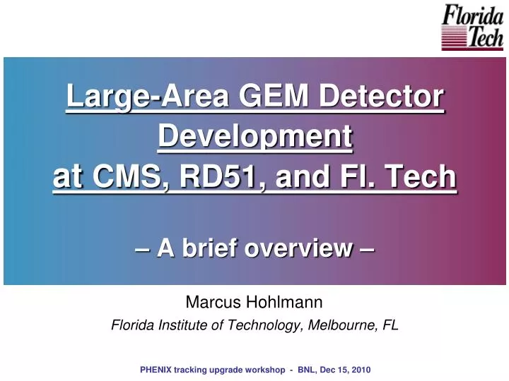 large area gem detector development at cms rd51 and fl tech a brief overview