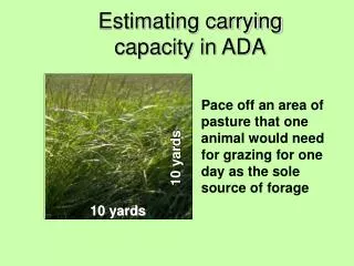 Estimating carrying capacity in ADA