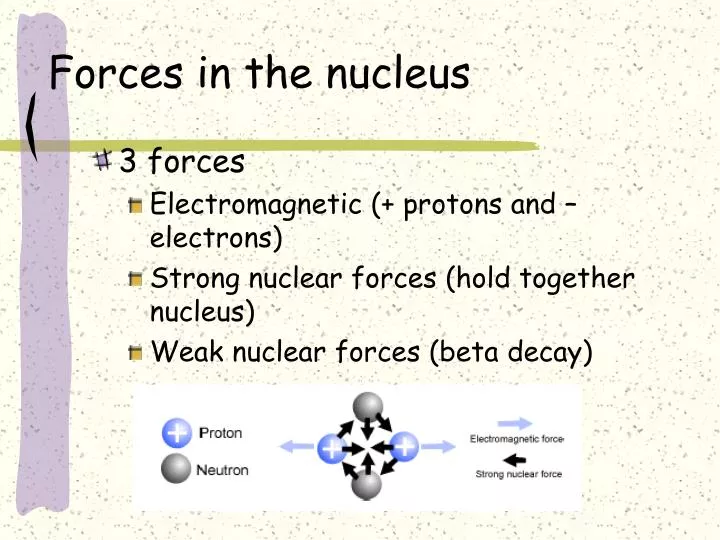 forces in the nucleus