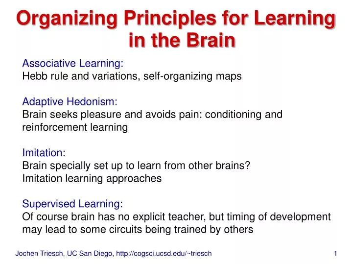 organizing principles for learning in the brain