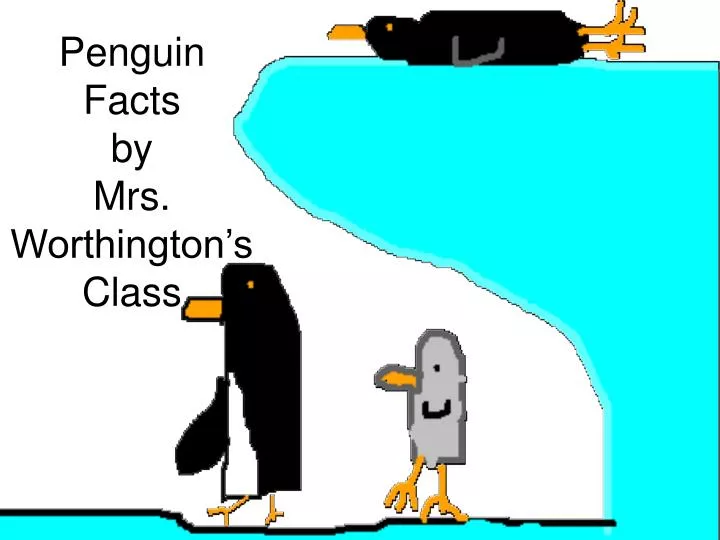 penguin facts by mrs worthington s class